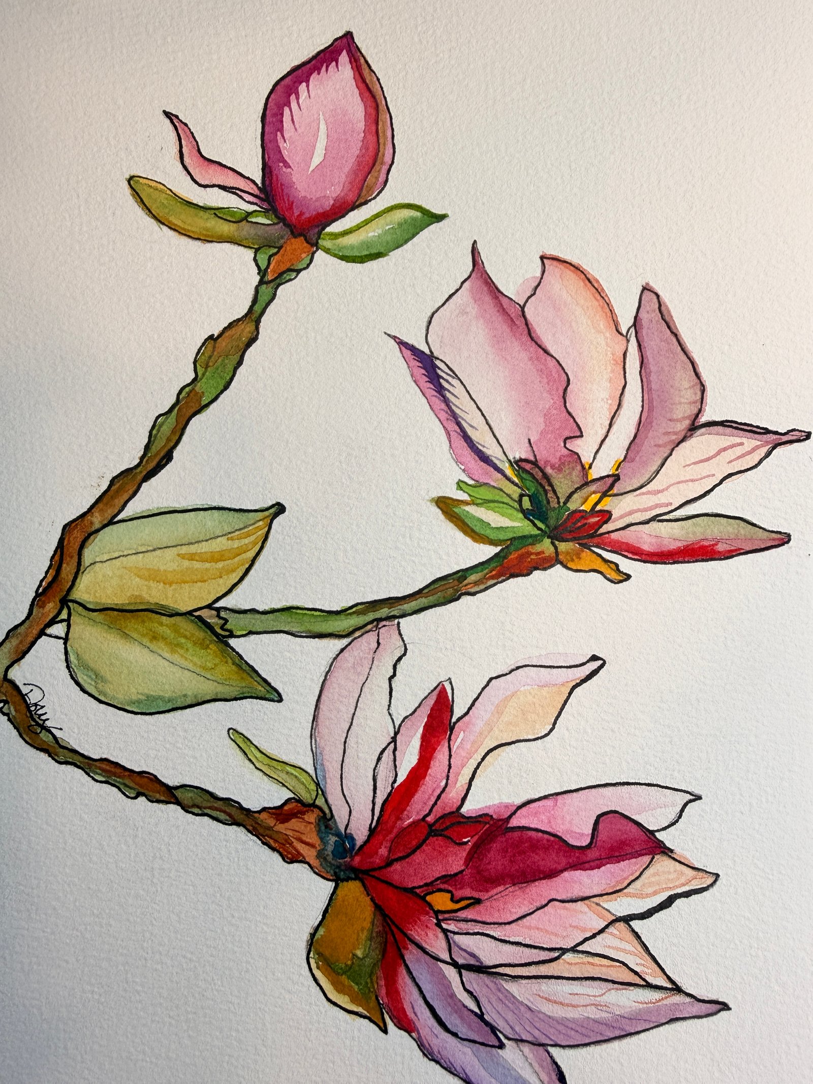 Original watercolor magnolia by Tammy