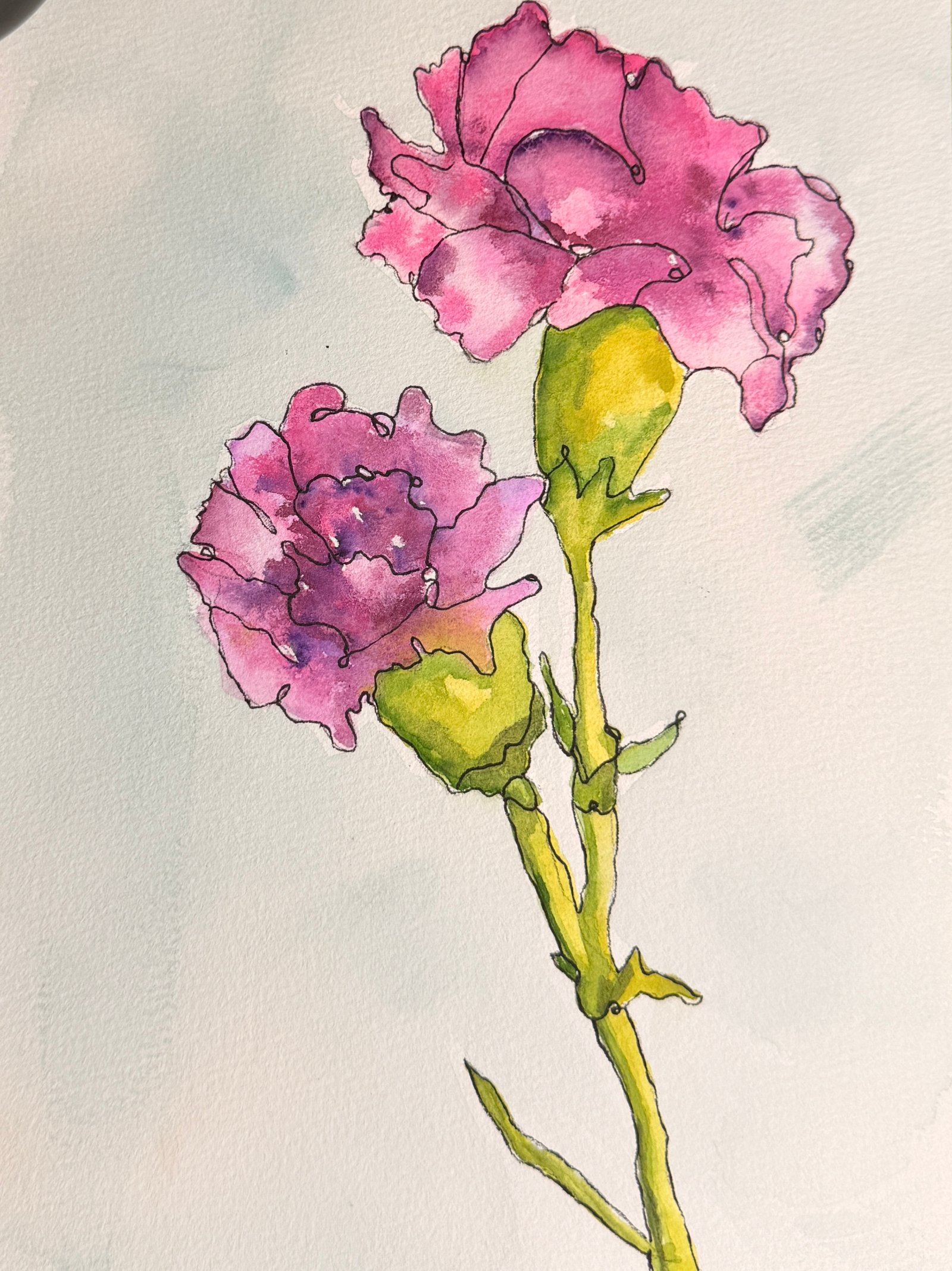 Carnations — original watercolor by Tammy