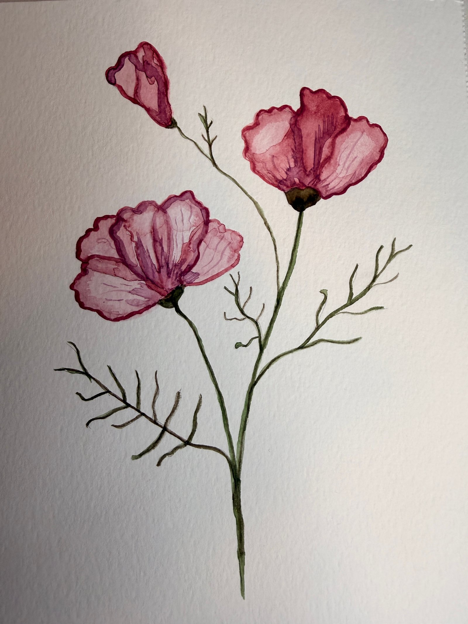 Wild in Pink — original watercolor by Tammy